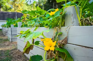 32 White Herron Cir, Aiken, SC 29801 - Photo 53