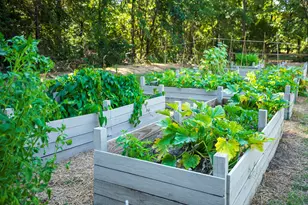 32 White Herron Cir, Aiken, SC 29801 - Photo 49