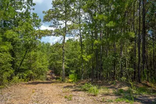 1107 Gray Mare Hollow Rd, Aiken, SC 29803 - Photo 79