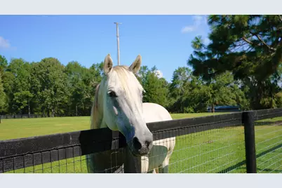 1107 Gray Mare Hollow Road, Aiken, SC 29803 - Photo 3