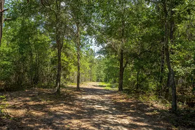 1107 Gray Mare Hollow Road, Aiken, SC 29803 - Photo 77