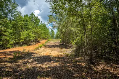 1107 Gray Mare Hollow Road, Aiken, SC 29803 - Photo 83