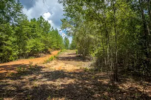 1107 Gray Mare Hollow Rd, Aiken, SC 29803 - Photo 83