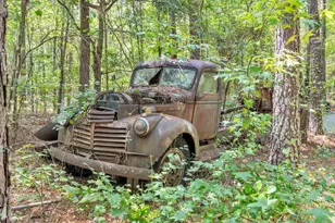 356 Massey-Doss Rd, Keysville, GA 30816 - Photo 15