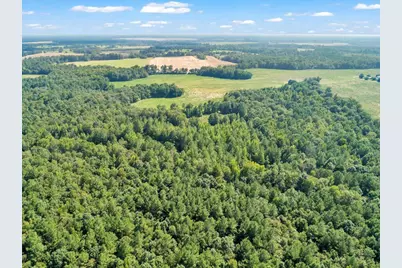 356 Massey-Doss Road, Keysville, GA 30816 - Photo 11