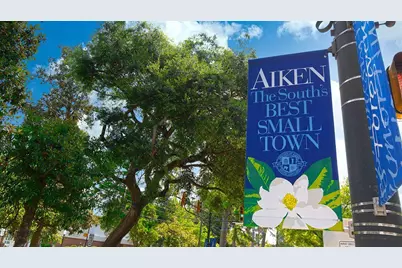 3029 Fancy Trail, Aiken, SC 29803 - Photo 9