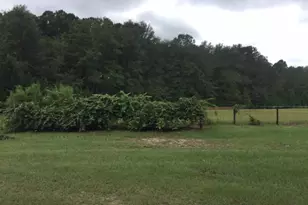 184 Beaver Dam Rd, Aiken, SC 29805 - Photo 35