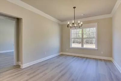 904 Speckled Teal, Aiken, SC 29803 - Photo 9