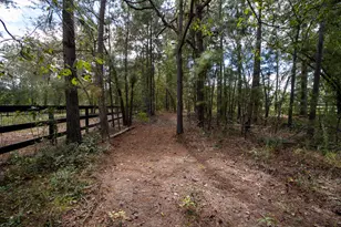 707 Paddock Clb Pkwy, Aiken, SC 29803 - Photo 81