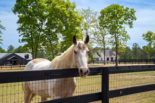707 Paddock Clb Pkwy, Aiken, SC 29803 - Photo 87