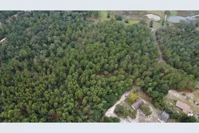 00 Holiness Church Rd Road, Wagener, SC 29164 - Photo 3