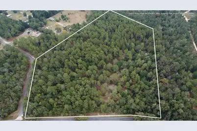 00 Holiness Church Rd Road, Wagener, SC 29164 - Photo 1