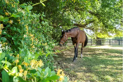 1242 Audubon Drive SE, Aiken, SC 29803 - Photo 35