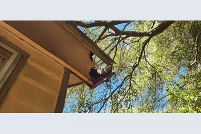 192 Bounty Road, Eutawville, SC 29048 - Photo 15