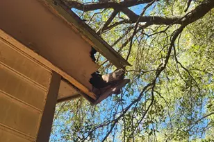 192 Bounty Rd, Eutawville, SC 29048 - Photo 15