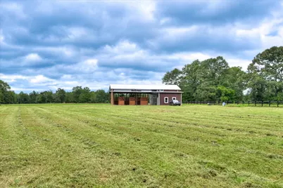 601 Bethcar Church Road, Wagener, SC 29164 - Photo 37