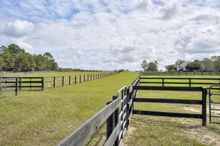 307 Fox Tail Ct, Aiken, SC 29803 - Photo 33