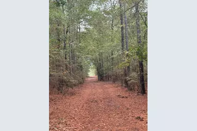 307 Fox Tail Court, Aiken, SC 29803 - Photo 37