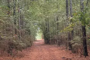 307 Fox Tail Ct, Aiken, SC 29803 - Photo 37