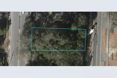 0 Jones Bridge Road, Blackville, SC 29817 - Photo 1