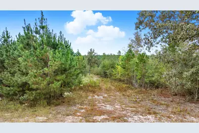 Lot 2-8 Barrington Farms Drive, Aiken, SC 29803 - Photo 5