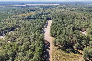 7901 Ashleigh Rd, Blackville, SC 29817 - Photo 81