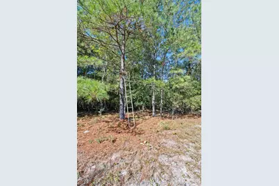 7901 Ashleigh Road, Blackville, SC 29817 - Photo 67