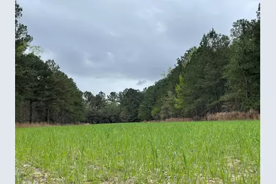 7901 Ashleigh Road, Blackville, SC 29817 - Photo 79