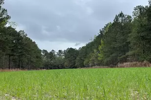 7901 Ashleigh Rd, Blackville, SC 29817 - Photo 79
