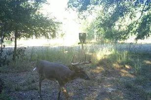 7901 Ashleigh Rd, Blackville, SC 29817 - Photo 47