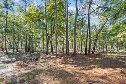 7901 Ashleigh Road, Blackville, SC 29817 - Photo 65