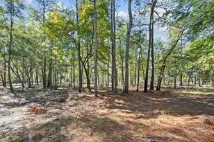 7901 Ashleigh Rd, Blackville, SC 29817 - Photo 65