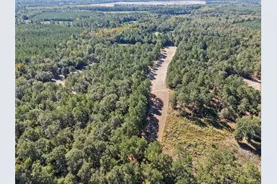 7901 Ashleigh Road, Blackville, SC 29817 - Photo 79