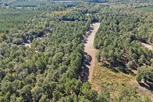 7901 Ashleigh Rd, Blackville, SC 29817 - Photo 79