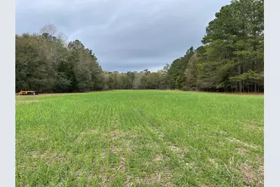 7901 Ashleigh Road, Blackville, SC 29817 - Photo 3