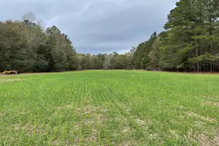 7901 Ashleigh Rd, Blackville, SC 29817 - Photo 3