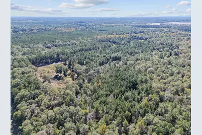 7901 Ashleigh Road, Blackville, SC 29817 - Photo 73