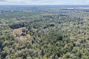 7901 Ashleigh Rd, Blackville, SC 29817 - Photo 73