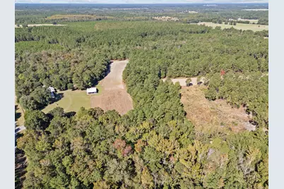 7901 Ashleigh Road, Blackville, SC 29817 - Photo 71