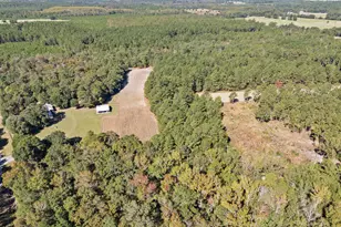 7901 Ashleigh Rd, Blackville, SC 29817 - Photo 71