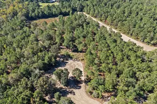 7901 Ashleigh Rd, Blackville, SC 29817 - Photo 83