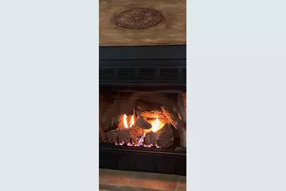 7901 Ashleigh Road, Blackville, SC 29817 - Photo 21