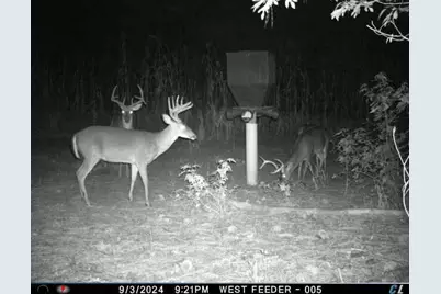 7901 Ashleigh Road, Blackville, SC 29817 - Photo 81