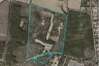 7901 Ashleigh Road, Blackville, SC 29817 - Photo 3