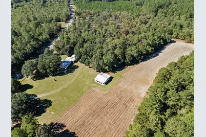 7901 Ashleigh Road, Blackville, SC 29817 - Photo 7