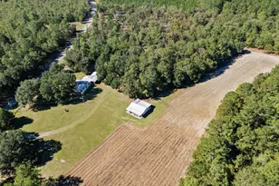 7901 Ashleigh Rd, Blackville, SC 29817 - Photo 7