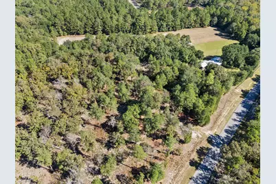7901 Ashleigh Road, Blackville, SC 29817 - Photo 73