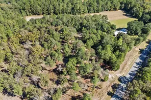 7901 Ashleigh Rd, Blackville, SC 29817 - Photo 73