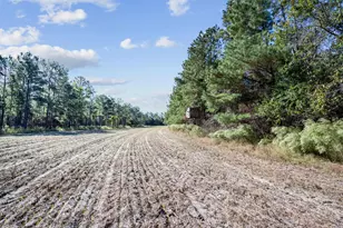 7901 Ashleigh Rd, Blackville, SC 29817 - Photo 69