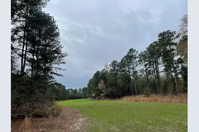 7901 Ashleigh Road, Blackville, SC 29817 - Photo 7